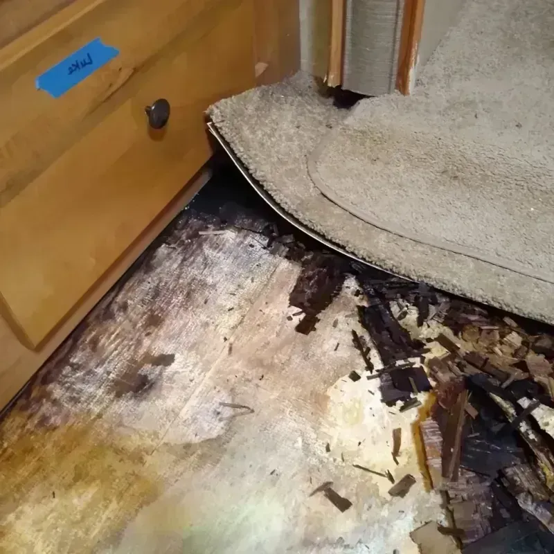 Best Wood Floor Water Damage Service in Kannapolis, NC